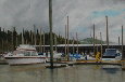 Winter Marina